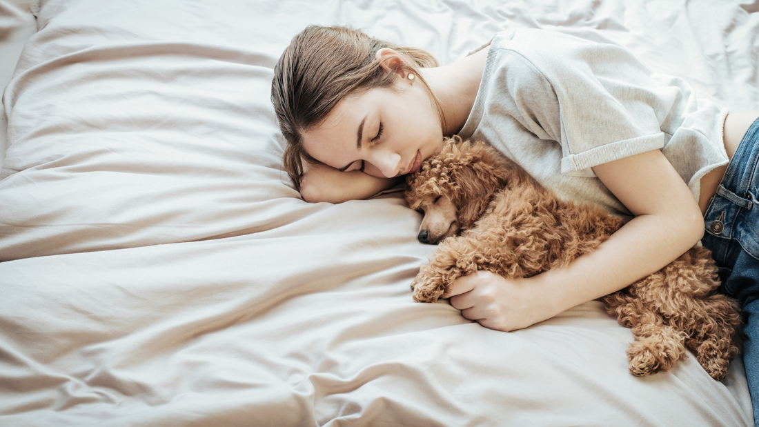 Bedding Guide for Pet Owners