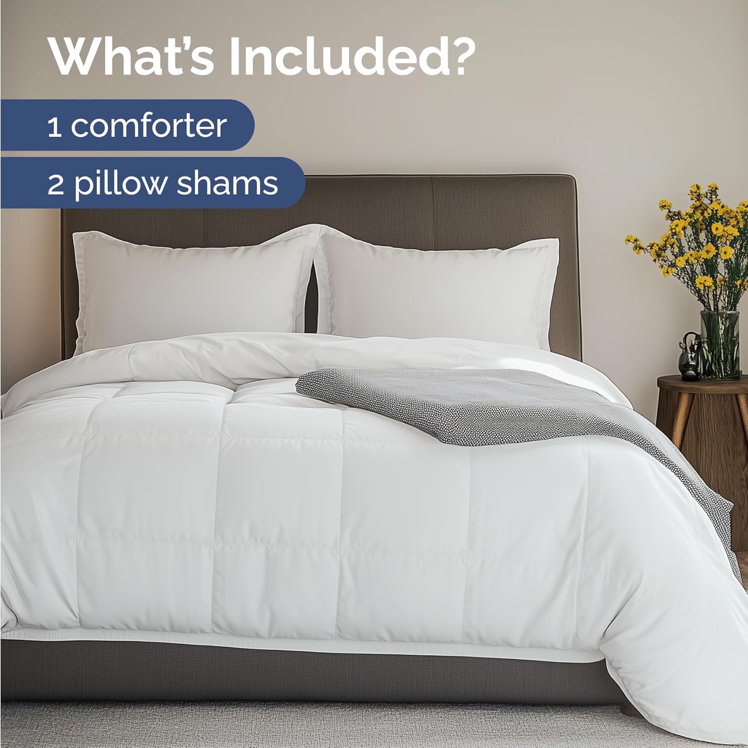 tes 3PC Comforter Set